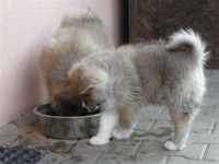 /album/fotogalerie/p3259741-jpg1/