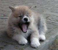 /album/fotogalerie/p3259750-jpg1/