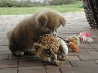 /album/fotogalerie/p4029850-jpg/