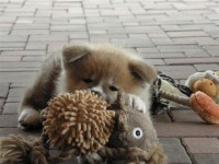 /album/fotogalerie/p4029853-jpg/